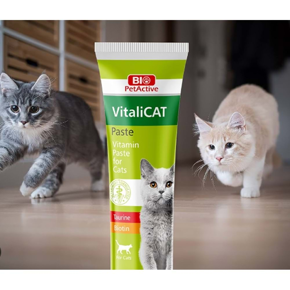 Bio Pet Active VitaliCat Pasta Taurin ve Biotinli Kedi Ödülü 100 ML