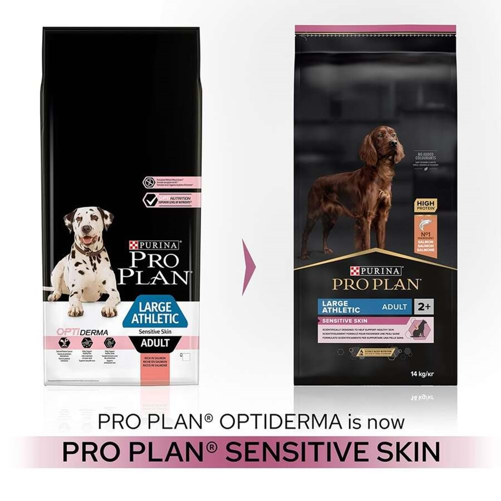 Pro Plan Large Athletic Sensitive Skin Büyük Irk Somonlu Köpek Maması 14 Kg