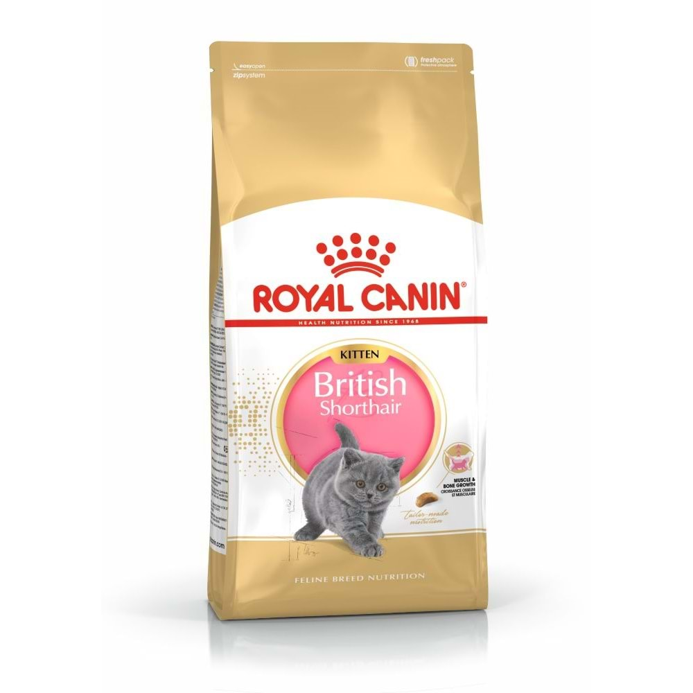 Royal Canin Kitten British Shorthair Yavru Irk Kedi Maması 2 Kg