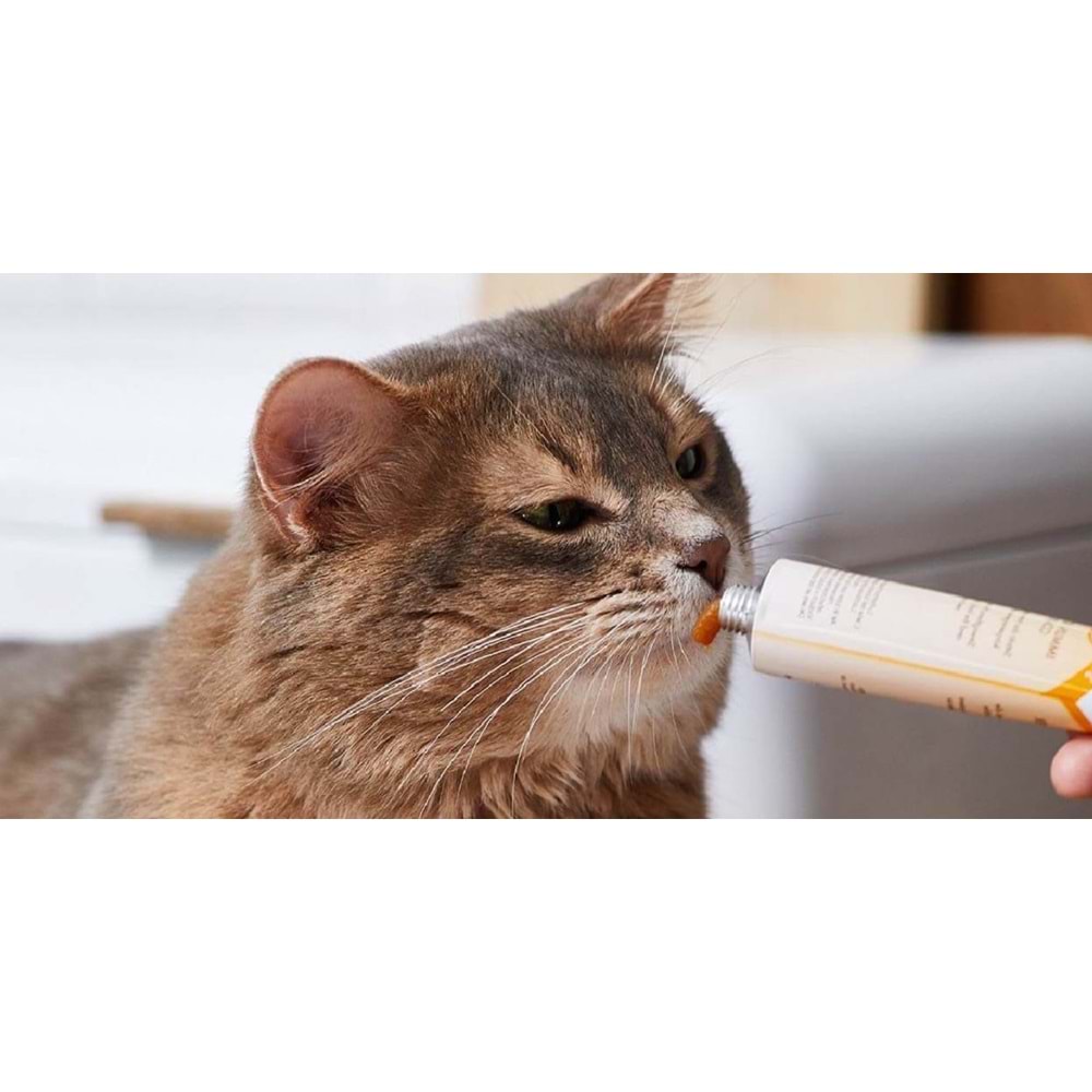 GimCat Kitten Paste Yavru Kedi Vitamin Paste Macunu 50 Gr