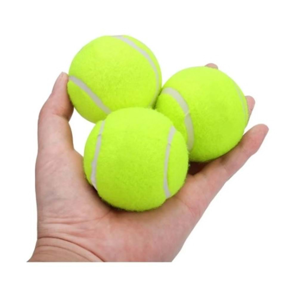 Lion Tenis Topu Köpek Oyuncağı