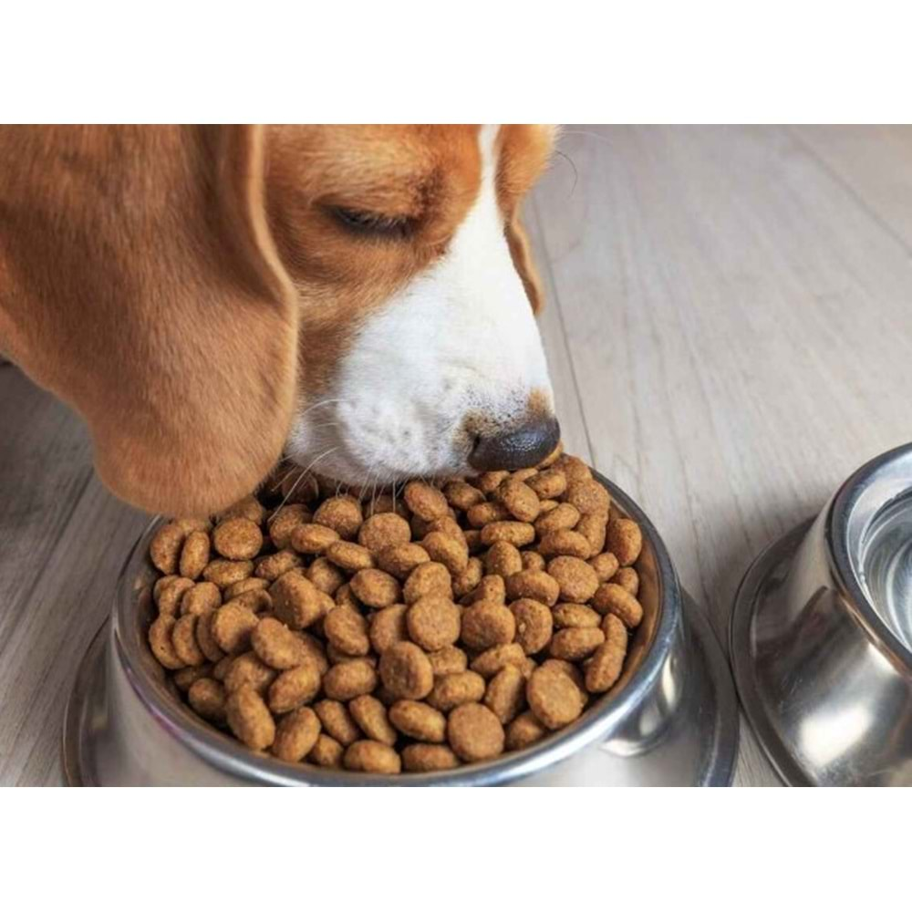 AÇIK - ENJOY BÜYÜK IRK KÖPEK MAMASI KUZULU 1KG