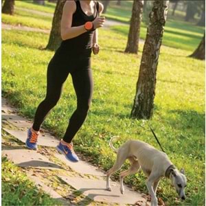 Lishinu Mavi Bungee Akıllı Kontrol Gezdirme Large 13-40 Kg