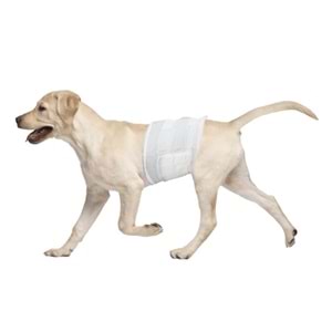 Pawise Erkek Yavru Köpekler için Çiş Bezi M 12'li