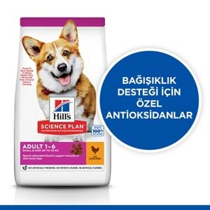 Hills Small & Miniature Küçük Irk Tavuklu Köpek Maması 6 Kg