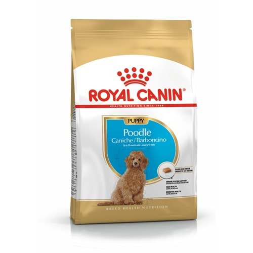 Royal Canin Poodle Puppy Yavru Köpek Irk Maması 3 Kg