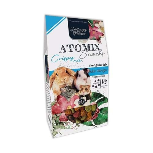 Nature Plan Atomix Snacks Çıtır Karışım Atıştırmalık 250 Gr