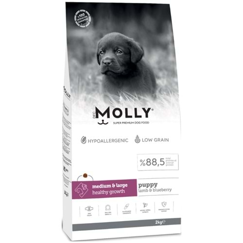 Molly Medium Puppy Kuzu Etli & Yaban Mersinli Orta ve Büyük Irk Yavru Köpek Maması 2 Kg