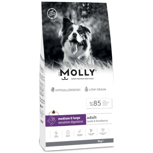 Molly Medium Adult Kuzu Etli & Yaban Mersinli Orta ve Büyük Irk Yetişkin Köpek Maması 2 Kg