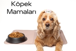 KÖPEK MAMALARI