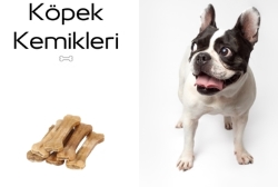 KÖPEK KEMİKLERİ