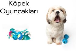 KÖPEK OYUNCAKLARI