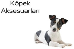 KÖPEK AKSESUARLARI