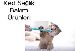 KEDİ SAĞLIK BAKIM ÜRÜNLERİ