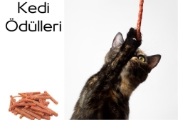 KEDİ ÖDÜLLERİ