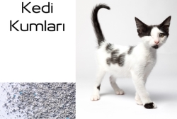 KEDİ KUMLARI