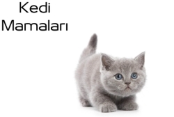 KEDİ MAMALARI